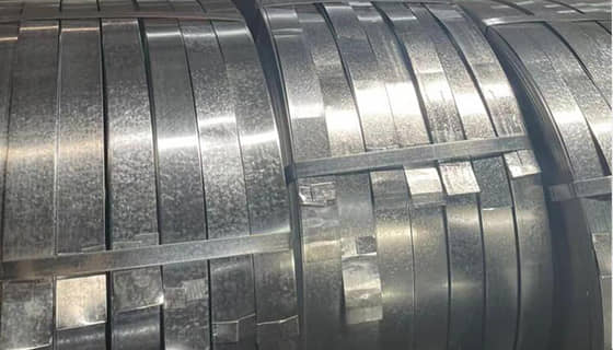 Stainless Steel Strip